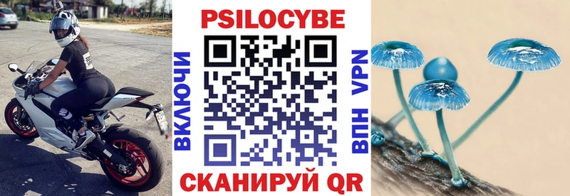 Купить закладки  Кировград  Галлюциногенные грибы мицелий 